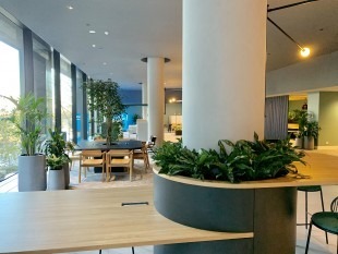 Office Plant Hire service