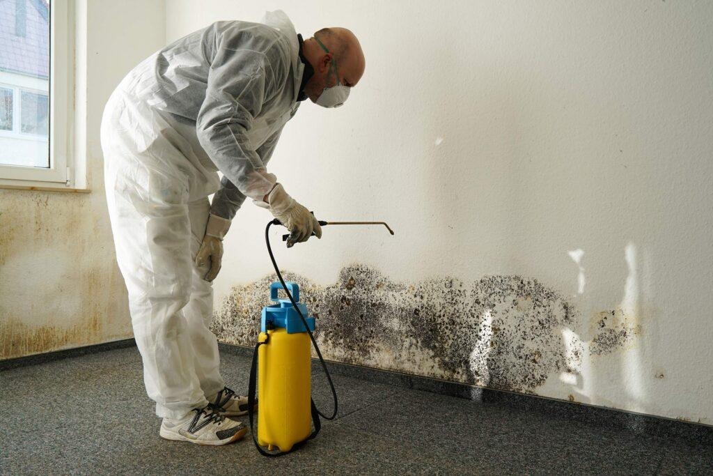 Mould Inspection Melbourne